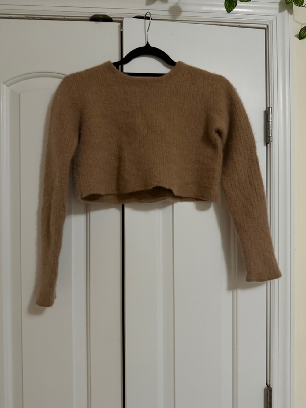 ALO Yoga Cropped Crew Neck Sweater in Camel 100% Cashmere